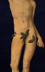 Adam (detail)